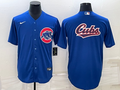 Men's Chicago Cubs Royal Alternate Replica Team Jerseys