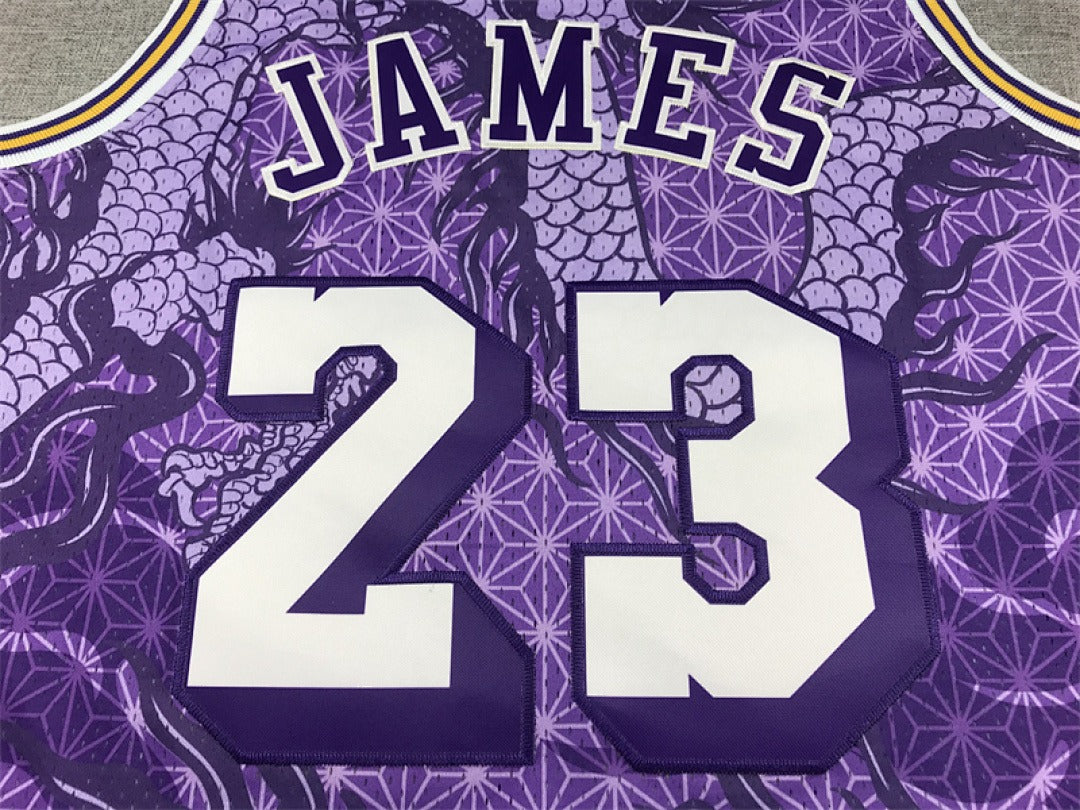 LeBron James #23 Los Angeles Lakers NBA Retro Embroidered Jersey – Sizes S-XXXL