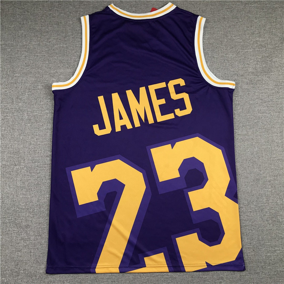 NBA Retro Los Angeles Lakers #23 James Collaboration Jersey
