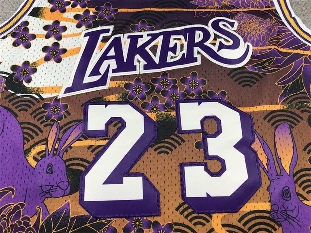 NBA retro Los Angeles Lakers #23 LeBron James jersey